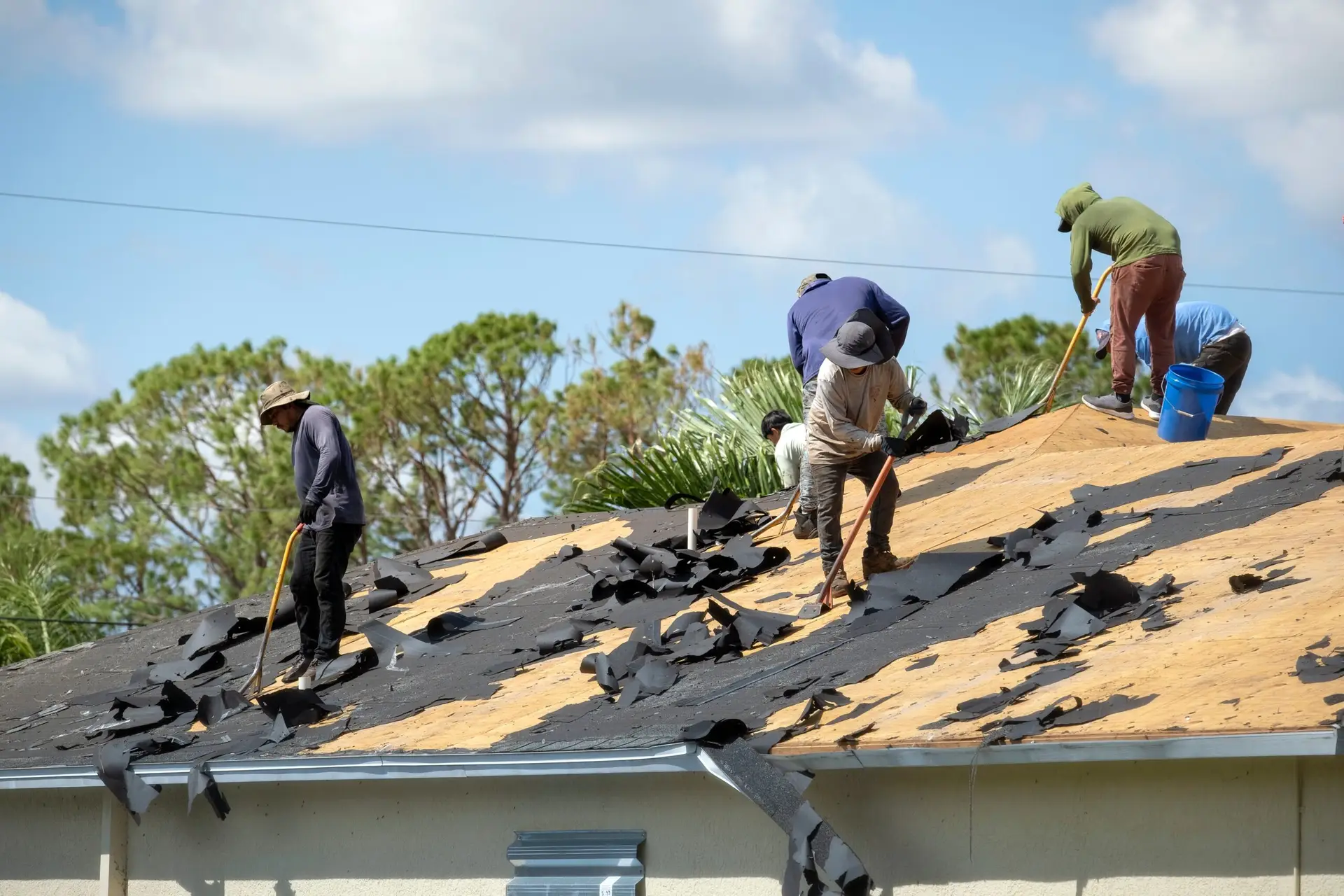 tampa roofing service